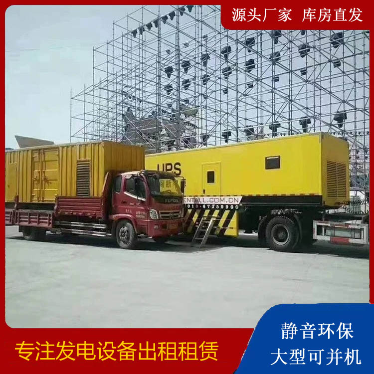 临安有哪些常见的发电机组输出电压类型？